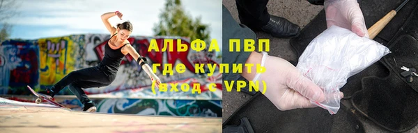 прущий лед Алзамай