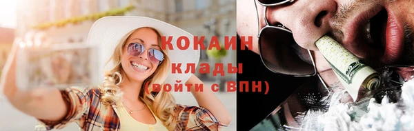 прущий лед Алзамай