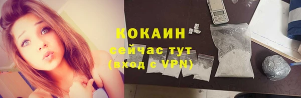 прущий лед Алзамай